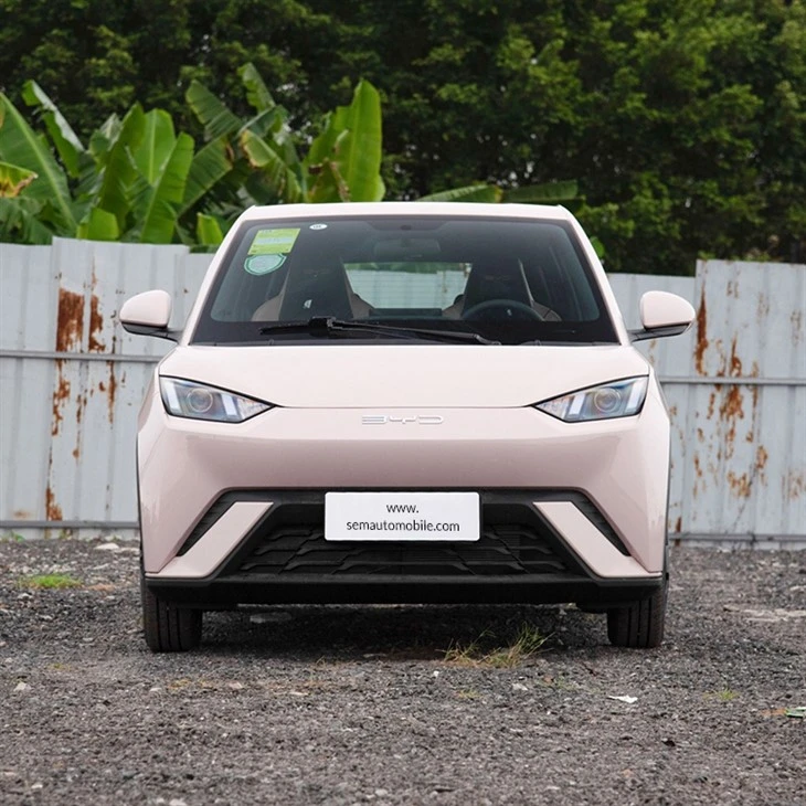 2024 BYD Seagull Mini Electric Car 