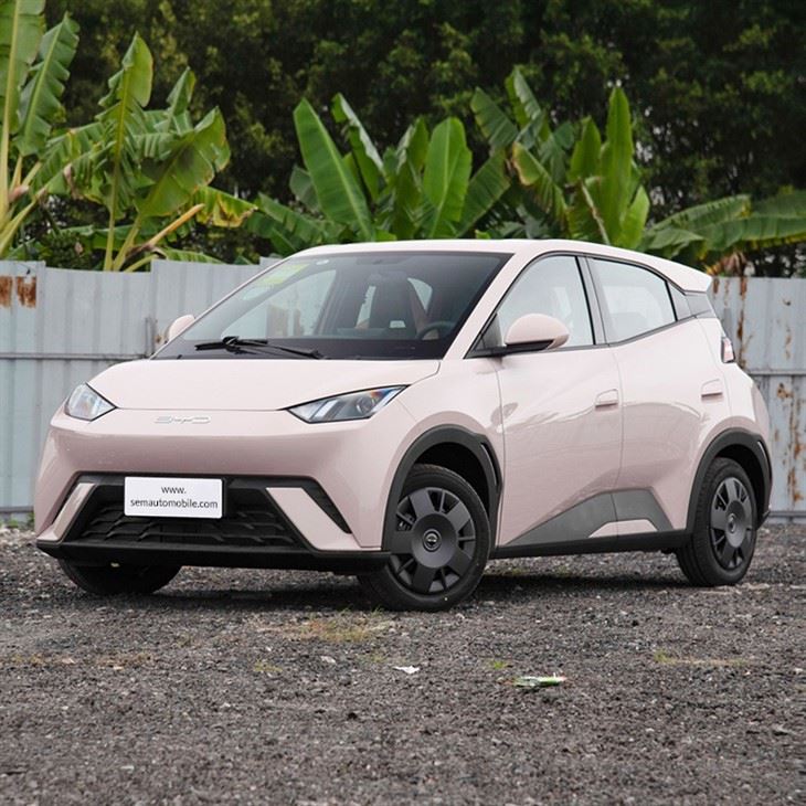 BYD Seagull 305KM Mini Electric Car